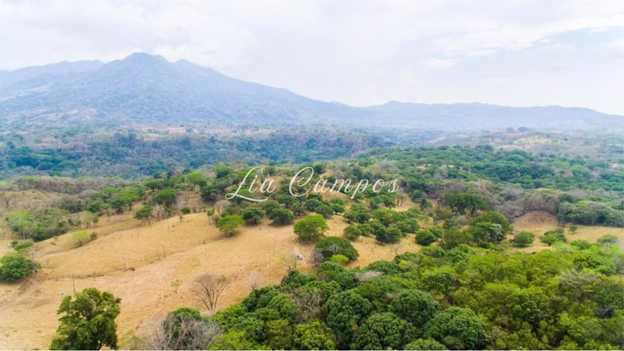 Finca de 115 Hectáreas en Venta | Turrubares, San José - Imagen 11