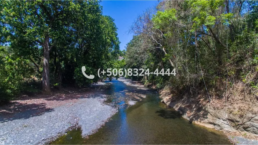 Finca de 115 Hectáreas en Venta | Turrubares, San José - Imagen 4