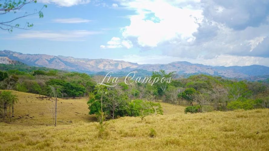 Finca de 115 Hectáreas en Venta | Turrubares, San José - Imagen 13