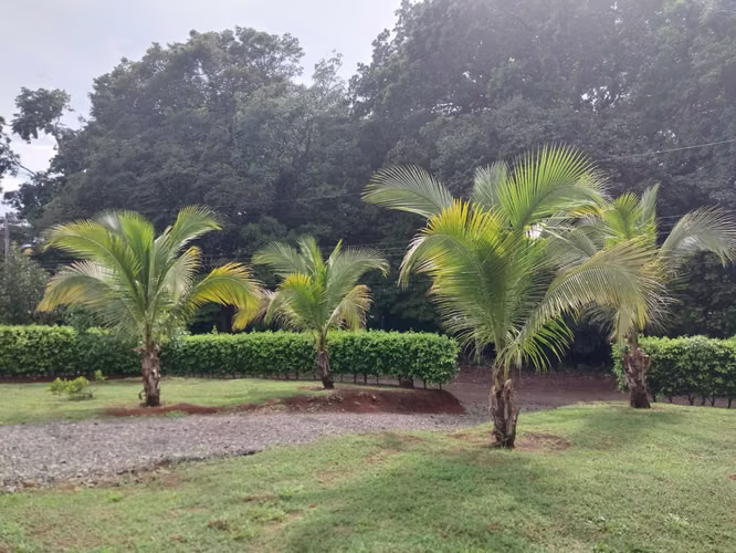 Villa Campestre en Condominio Lindas Vistas – San Mateo de Alajuela - Imagen 10