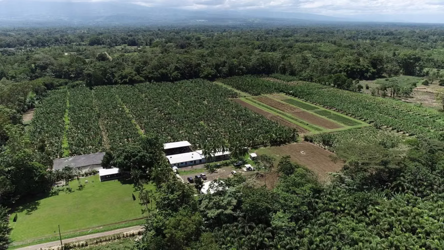 Finca agrícola de 113 ha en Guácimo – Estación Experimental 
