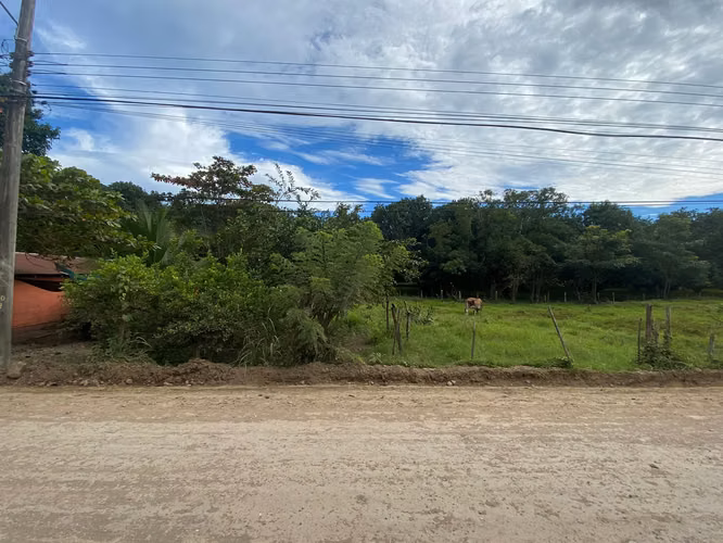 Lot in Package of 202 m2