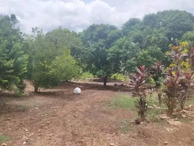 Fifth land sale with sea view in Orotina Cerro Alto, Alajuela 18190