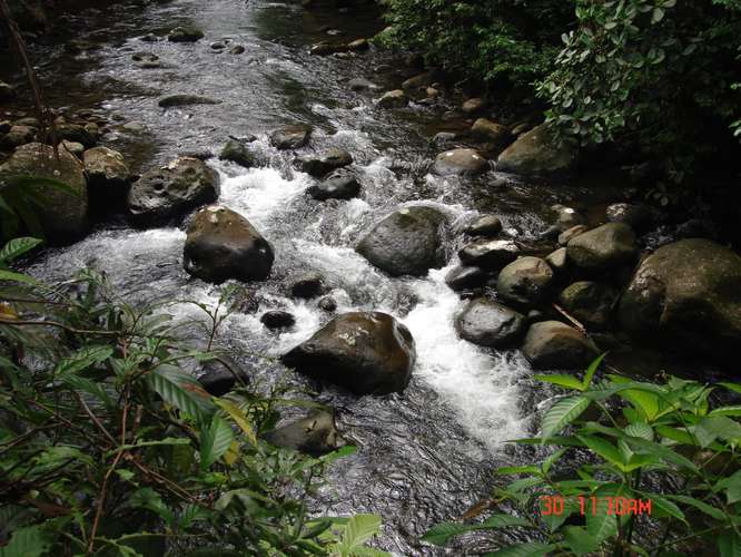 VENDO FINCAS EN RIO BLANCO POCOCI - Imagen 10