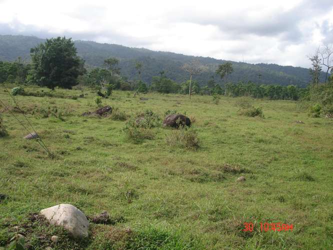 VENDO FINCAS EN RIO BLANCO POCOCI - Imagen 2
