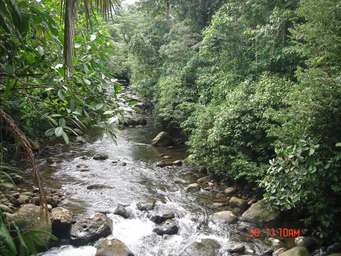 VENDO FINCAS EN RIO BLANCO POCOCI - Imagen 6