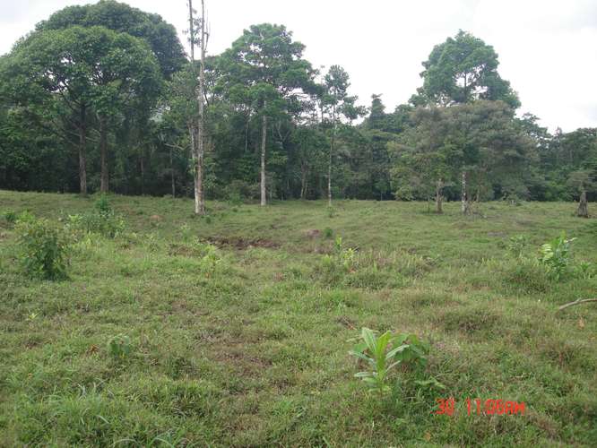 VENDO FINCAS EN RIO BLANCO POCOCI - Imagen 4
