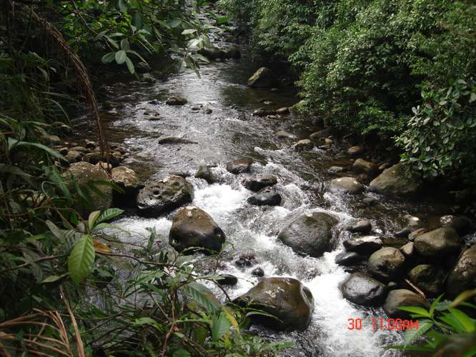 VENDO FINCAS EN RIO BLANCO POCOCI - Imagen 3