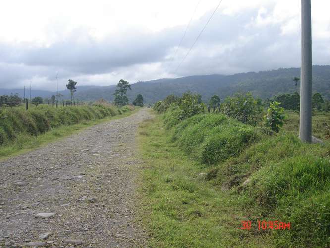 VENDO FINCAS EN RIO BLANCO POCOCI - Imagen 5