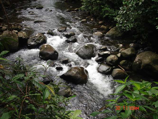 SELL FARMS IN WHITE RIVER POCOCCI