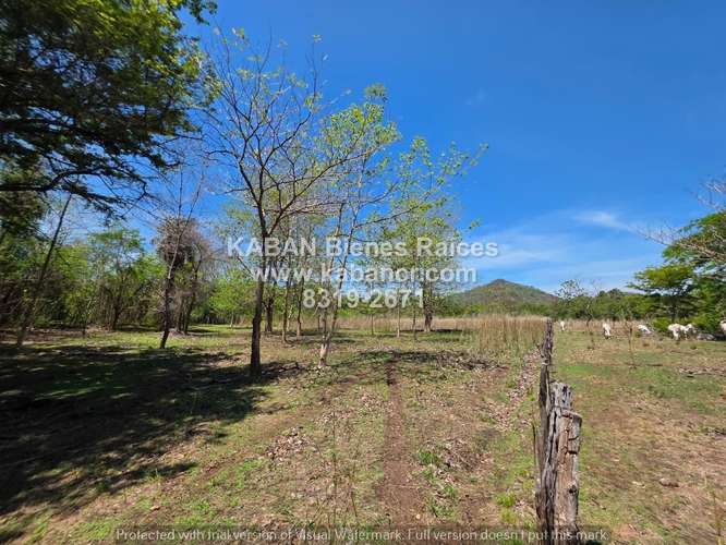 Terreno - Venta- Belén, Carrillo, Guanacaste de 21.007 m²  - Imagen 5