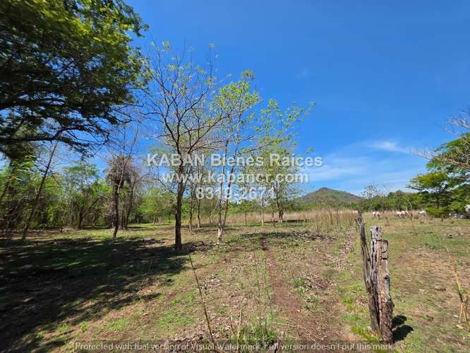 Terreno - Venta- Belén, Carrillo, Guanacaste de 21.007 m²  - Imagen 8
