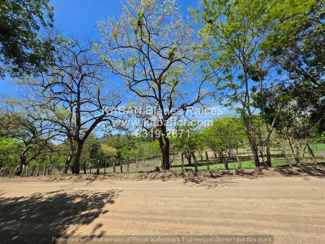 Lote en Carrillo - 21007 m² - ₡158,000,000