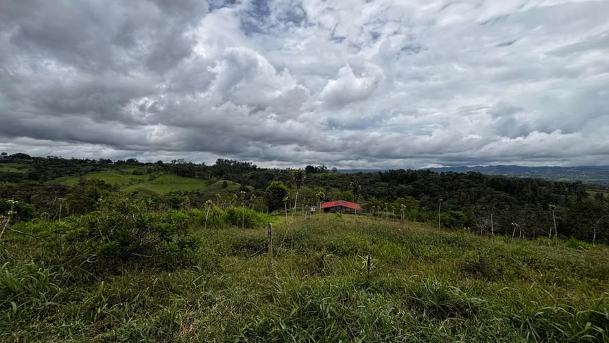Propiedad a la venta en San Vito de Coto Brus - Property for sale in San Vito de Coto Brus