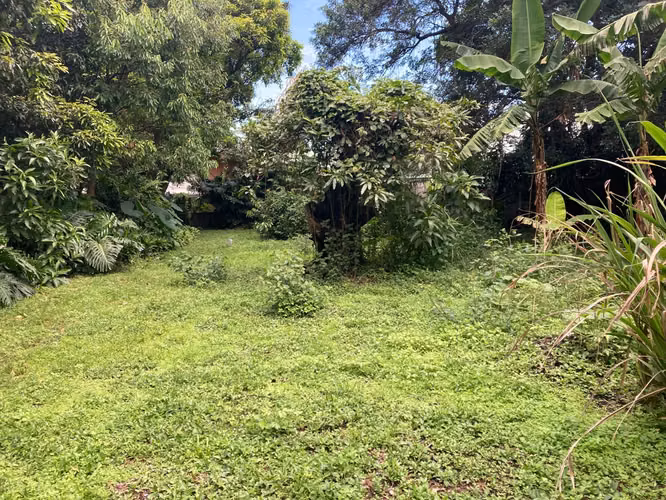 Lote Plano 2 Frentes Uruca | Ideal para Desarrollo (COMERCIAL Y RESIDENCIAL)  - Imagen 11
