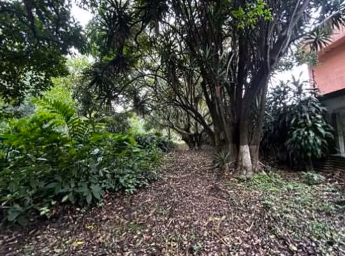 Lote Plano 2 Frentes Uruca | Ideal para Desarrollo (COMERCIAL Y RESIDENCIAL)  - Imagen 2