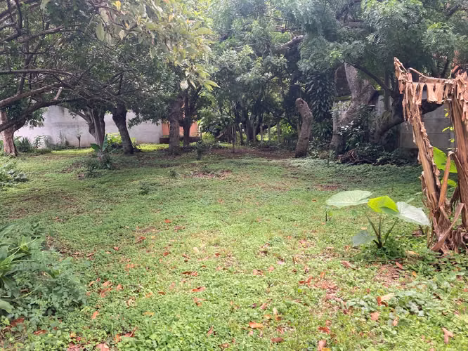 Lote Plano 2 Frentes Uruca | Ideal para Desarrollo (COMERCIAL Y RESIDENCIAL)  - Imagen 14