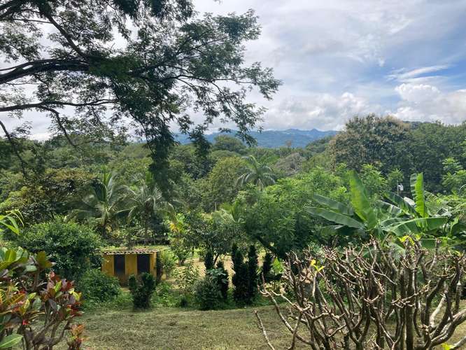 Quinta Balsa Atenas con 2 casas $350.000 cerca de la 27 - Imagen 11