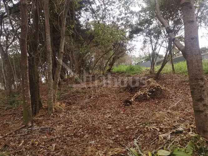 id # 31850 Venta Lote para Desarrollo - Curridabat - Imagen 4