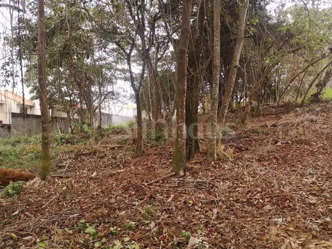 id # 31850 Venta Lote para Desarrollo - Curridabat - Imagen 9