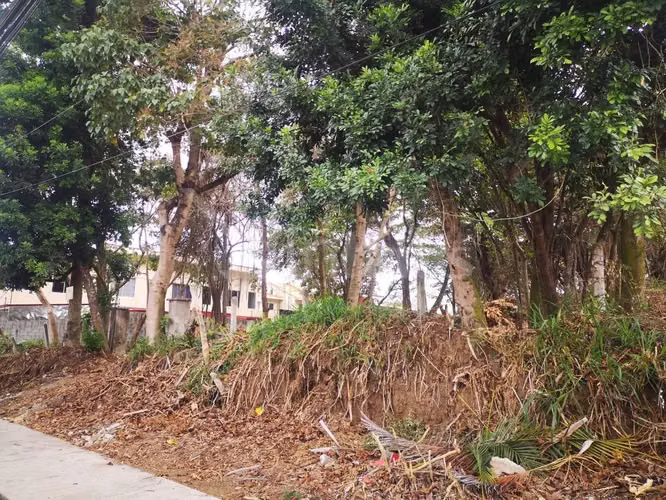 id # 31850 Venta Lote para Desarrollo - Curridabat - Imagen 6