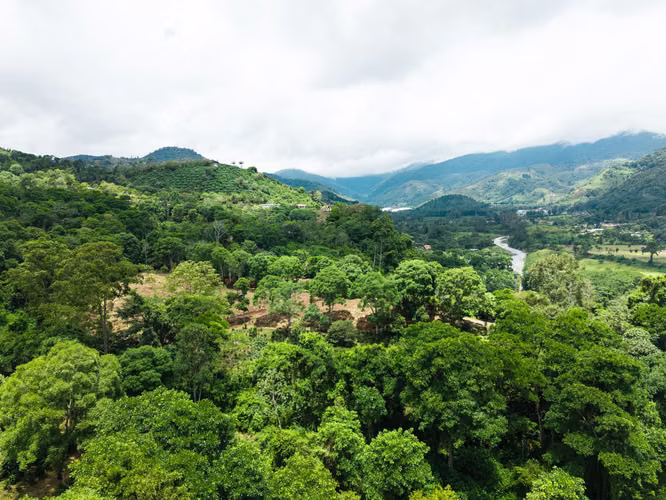  Vivir junto al río, en el corazón del Valle de Orosi. - Imagen 3