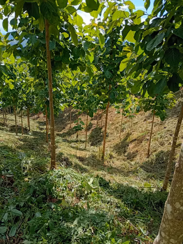 Hermosa Finca en las colinas de Nicoya 