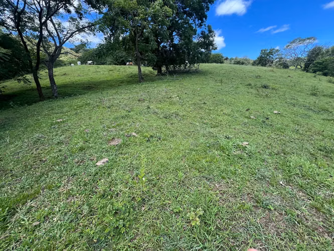 Hermosa Finca en las colinas de Nicoya 