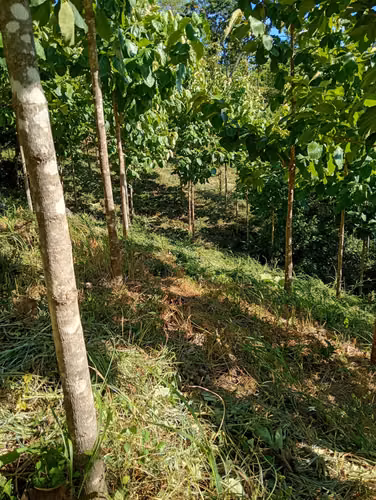 Hermosa Finca en las colinas de Nicoya 
