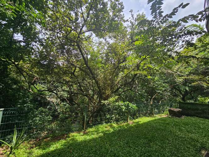 Apartamento en Primera Planta con Jardín Privado | San Nicolás de Bari, Santa Ana - Imagen 19