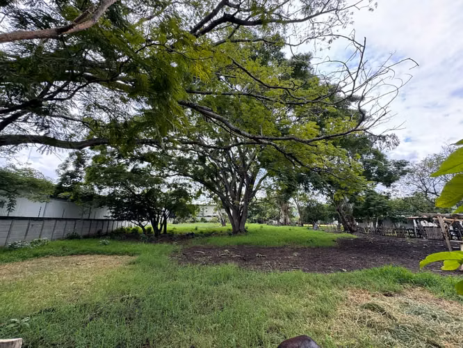 VENDO TERRENO COMPLETAMENTE PLANO EN POZOS DE SANTA ANA. USO DE SUELO MIXTO/COMERCIAL Y RESIDENCIAL - Imagen 5