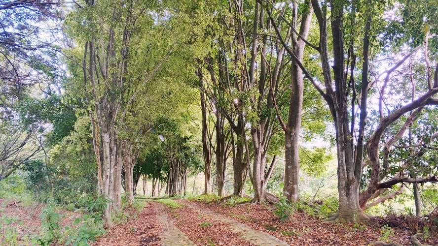 Apartamento en San Antonio de Escazu con vista al valle central
