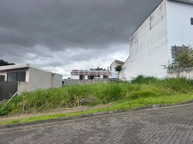 id #  43561 Lote en venta, Lomas de Ayarco, Curridabat.  - Imagen 9