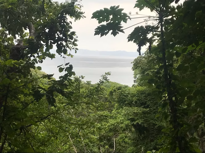 Lote En Playa Gigante, Paquera