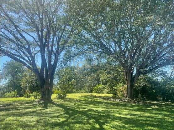 Un paraíso escondido en Labrador, Orotina: 4.919 m² para crear la vida de sus sueños - Imagen 7