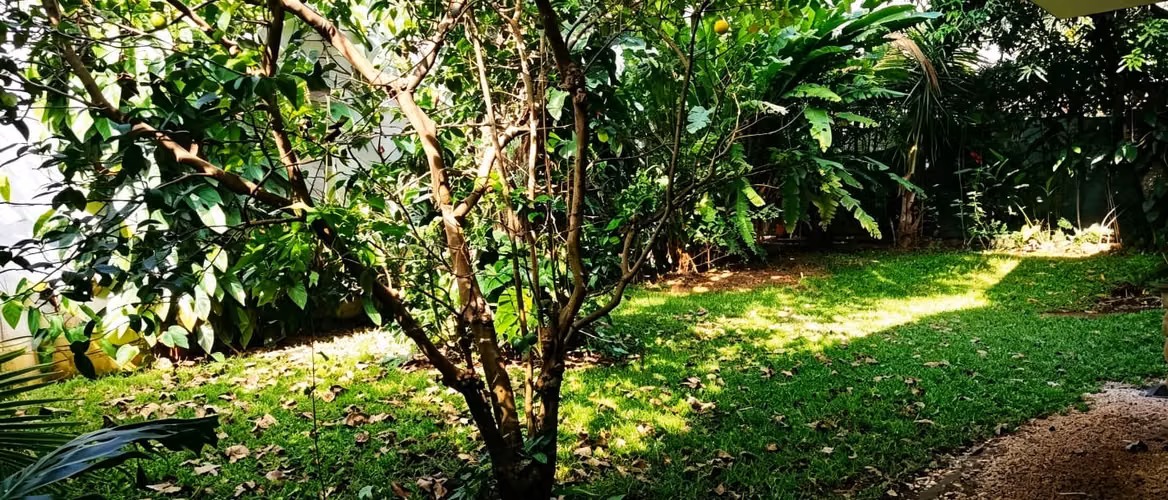 Casa independiente de lujo en alquiler – Escazú, San Rafael - Imagen 20