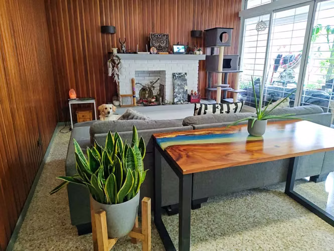 Venta de casa en Rohrmoser, Nunciatura, con apartamento independiente - Imagen 8
