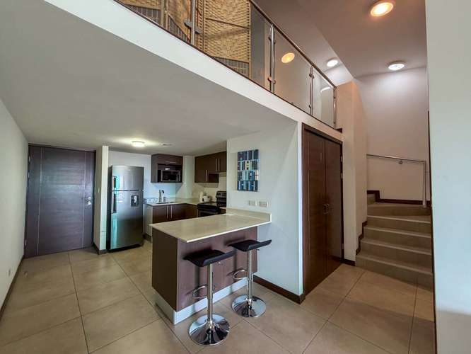 Alquiler de apartamento amueblado | Latitud Dent - Imagen 15