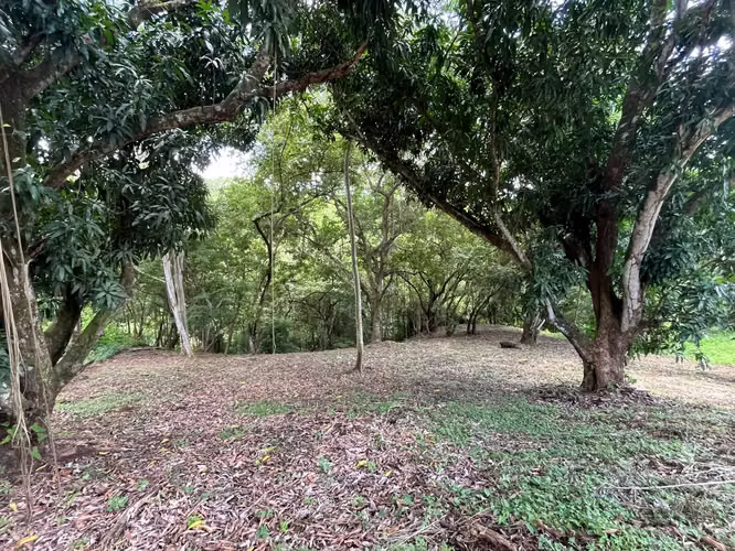 Terreno en Venta en Condominio  Orotina - Imagen 4