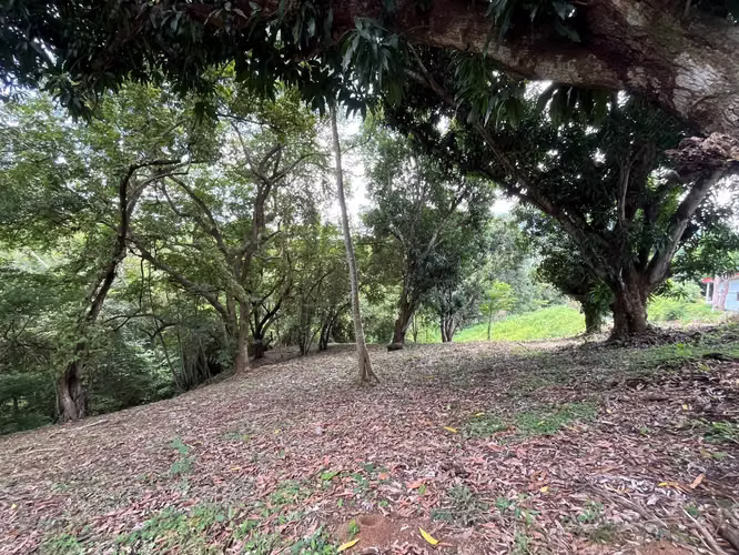 Terreno en Venta en Condominio  Orotina - Imagen 6