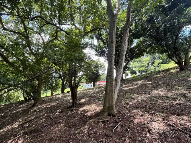 Terreno en Venta en Condominio  Orotina - Imagen 9