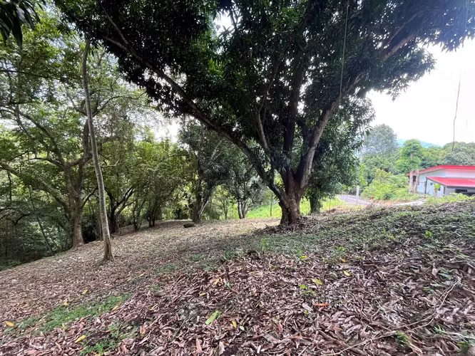 Terreno en Venta en Condominio  Orotina - Imagen 5