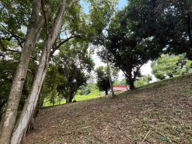 Terreno en Venta en Condominio  Orotina - Imagen 7