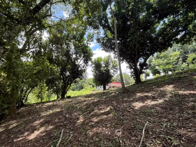Terreno en Venta en Condominio  Orotina - Imagen 10