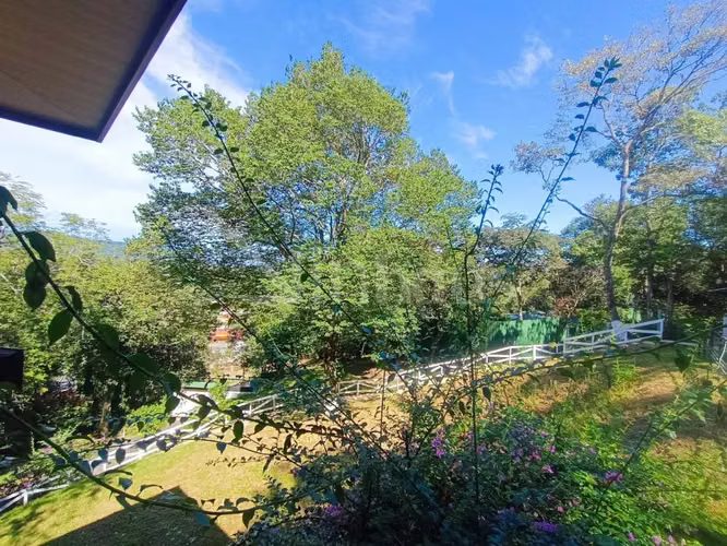 Venta de lote de uso mixto en excelente ubicación en Ciudad Colón  - Imagen 8