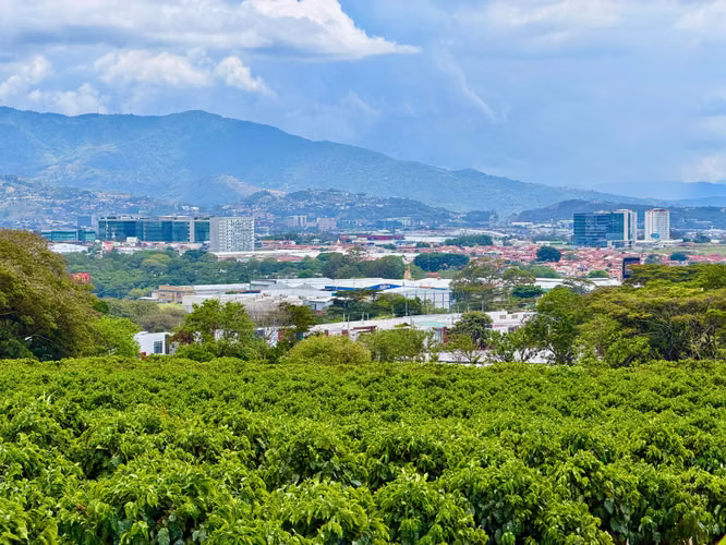 Terreno en Venta para Desarrollo Mixto en San Pablo de Heredia – 6 ha. Para Inversionistas  - Imagen 9