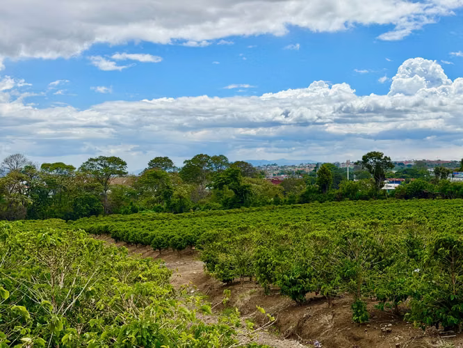 Terreno en Venta para Desarrollo Mixto en San Pablo de Heredia – 6 ha. Para Inversionistas  - Imagen 13