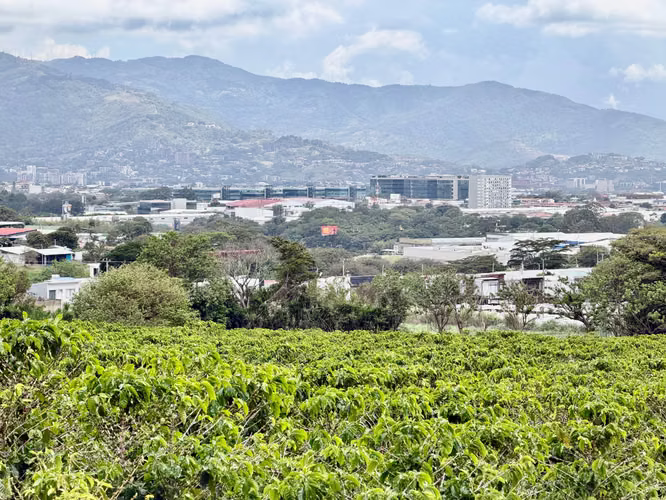Terreno en Venta para Desarrollo Mixto en San Pablo de Heredia – 6 ha. Para Inversionistas  - Imagen 15