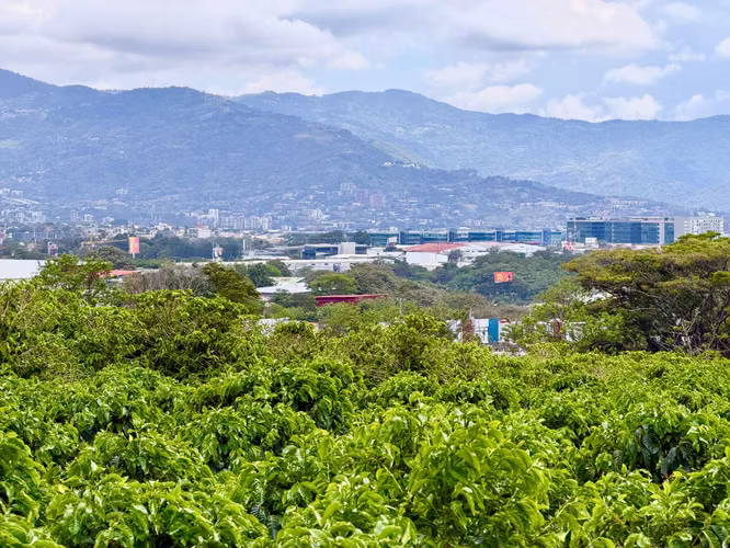 Terreno en Venta para Desarrollo Mixto en San Pablo de Heredia – 6 ha. Para Inversionistas  - Imagen 17
