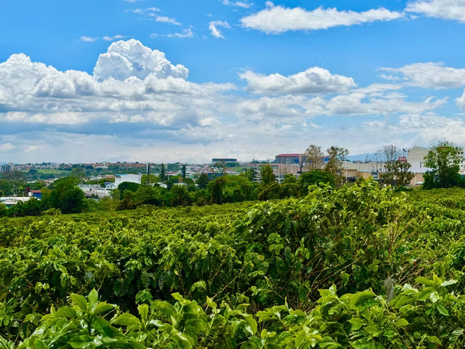 Terreno en Venta para Desarrollo Mixto en San Pablo de Heredia – 6 ha. Para Inversionistas  - Imagen 11